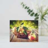 リンゴのバスケット ポストカード (スタンド正面)