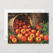 リンゴのバスケット ポストカード (正面/裏面)