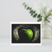 リンゴの上の生活 ポストカード (スタンド正面)