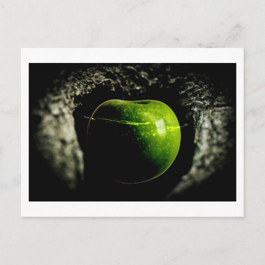 リンゴの上の生活 ポストカード (正面)