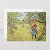 リンゴの収穫 ポストカード (正面/裏面)