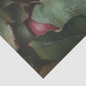 リンゴの山に入った子豚 薄葉紙 (詳細)