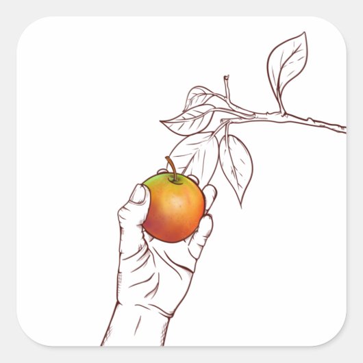 リンゴの摘み スクエアシール (正面)