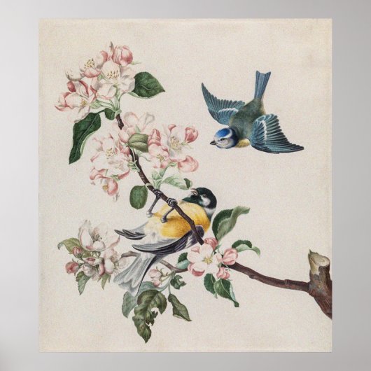 リンゴの木にヴィンテージの小鳥が2羽 ポスター (正面)
