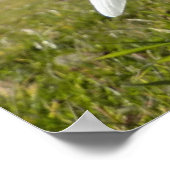 リンゴの木の下の雪 ポスター (角)