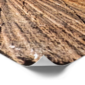 リンゴの木の断面(Malus)抽象芸術, b ポスター (角)