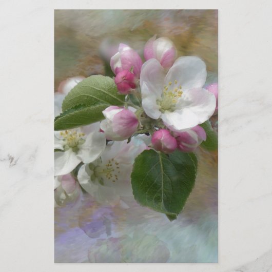 リンゴの木の花 便箋 (正面)