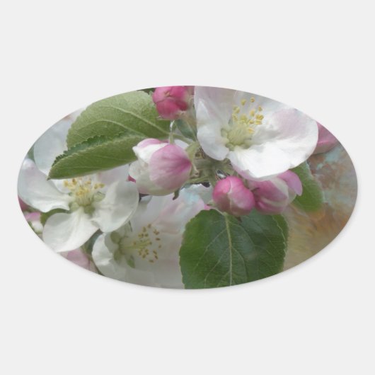 リンゴの木の花 楕円形シール (正面)