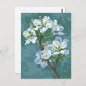 リンゴの木の開花枝 ポストカード (正面/裏面)