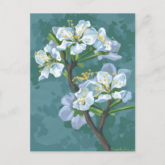 リンゴの木の開花枝 ポストカード (正面)