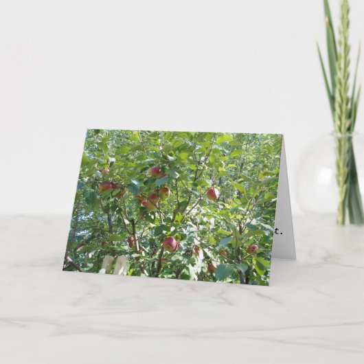 「リンゴの木を探す」おめでとうカード カード (正面)