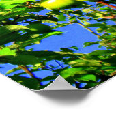 リンゴの木 ポスター (角)