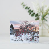 リンゴの木 ポストカード (スタンド正面)