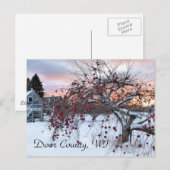 リンゴの木 ポストカード (正面/裏面)