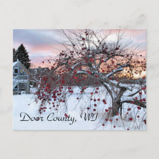 リンゴの木 ポストカード