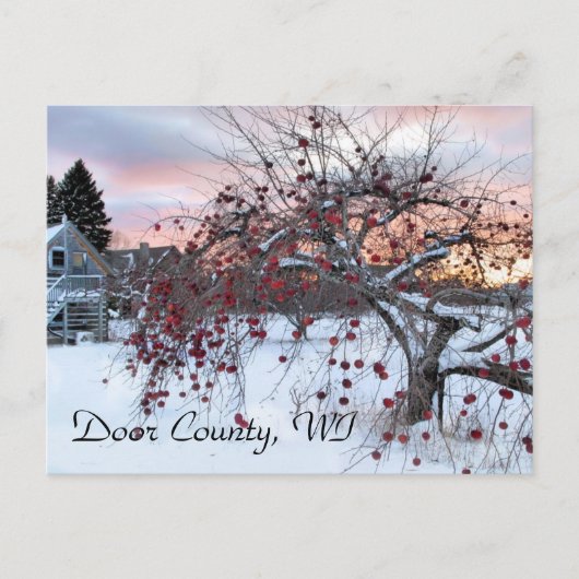 リンゴの木 ポストカード (正面)