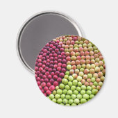 リンゴの渦 マグネット (正面/裏面)