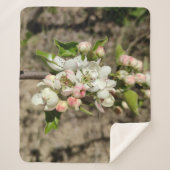 リンゴの花が咲く シェルパブランケット (正面)