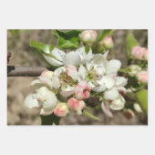 リンゴの花が咲く ラッピングペーパーシート (正面3)