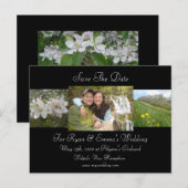 リンゴの花が日付を保存 案内ポストカード (正面/裏面)