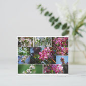 リンゴの花とミツバチ ポストカード (スタンド正面)