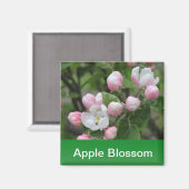 リンゴの花と葉緑 マグネット (正面/裏面)