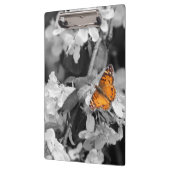 リンゴの花のクリップボードにオレンジ色の蝶 クリップボード (左)