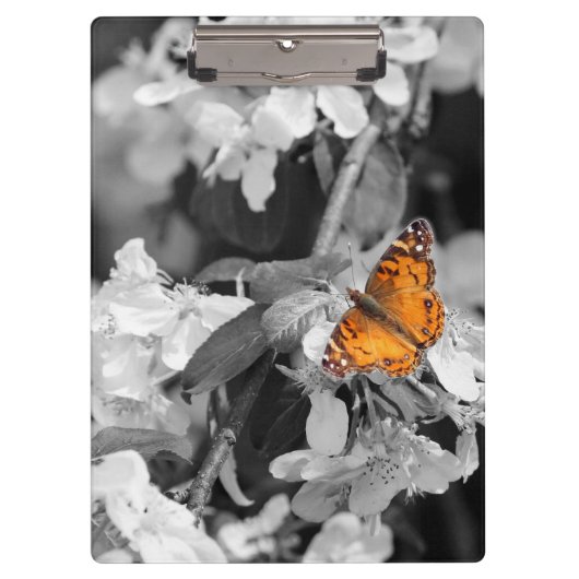 リンゴの花のクリップボードにオレンジ色の蝶 クリップボード (正面)