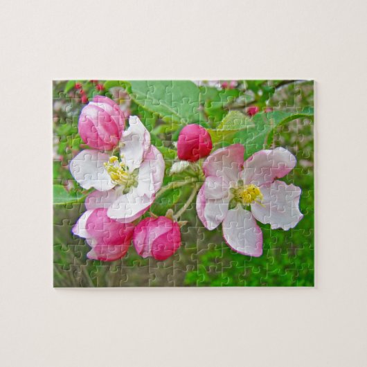 リンゴの花の時期 ジグソーパズル (横)