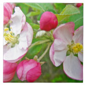 リンゴの花の時期 タイル (正面)