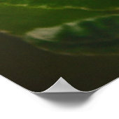 リンゴの花の時期 ポスター (角)