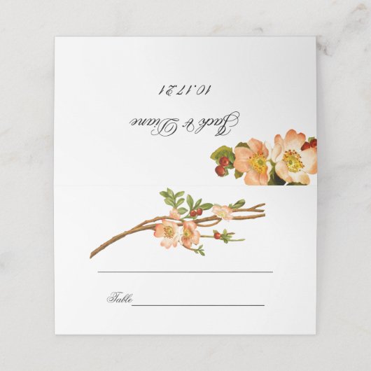 リンゴの花の水色の結婚茎 プレイスカード (外部開封)