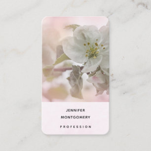 リンゴの花の白い写真 名刺