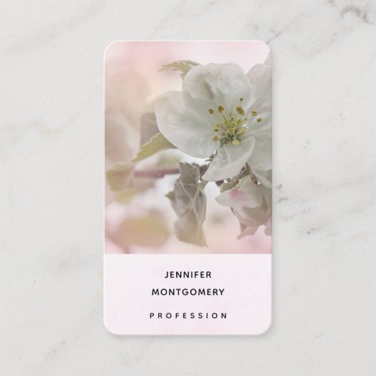 リンゴの花の白い写真 名刺 (正面)