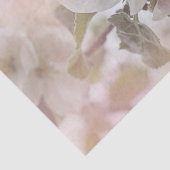 リンゴの花の白い写真 薄葉紙 (詳細)