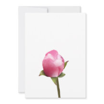 リンゴの花の芽