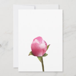 リンゴの花の芽 シーズンカード