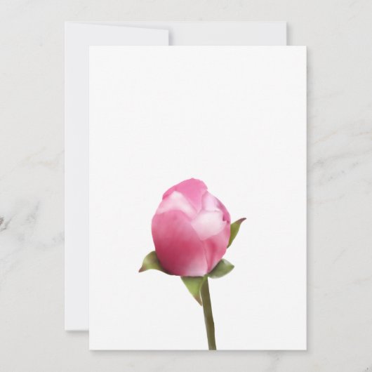 リンゴの花の芽 シーズンカード (正面)