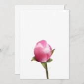 リンゴの花の芽 シーズンカード (正面/裏面)