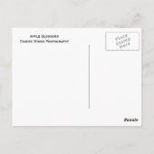 リンゴの花の葉書 ポストカード (裏面)