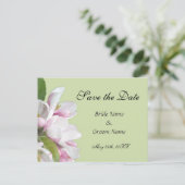 リンゴの花は日付はがきを保存する 案内ポストカード (スタンド正面)