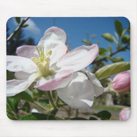 リンゴの花マウスパッド ピンクの花 マウスパッド (正面)