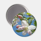 リンゴの花マグネット 桃色の花 リンゴ マグネット (正面/裏面)