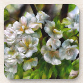 リンゴの花 コースター (正面)