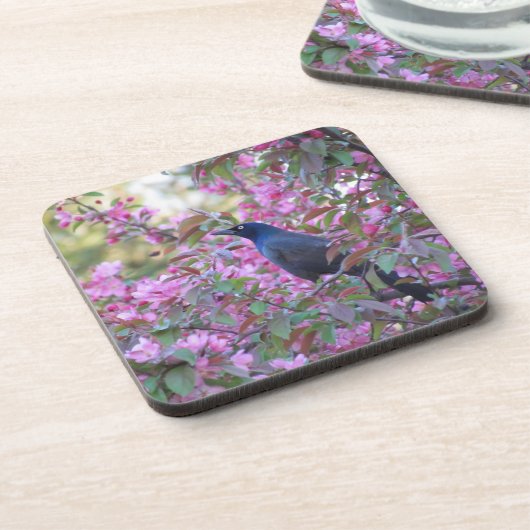 リンゴの花 コースター (左側)