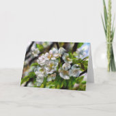 リンゴの花 シーズンカード (裏面)