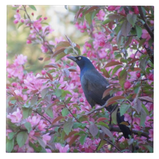 リンゴの花 タイル (正面)