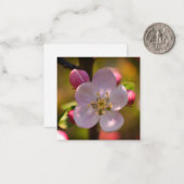 リンゴの花 ノートカード (正面/裏面インサイチュ)