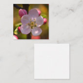 リンゴの花 ノートカード (正面/裏面)