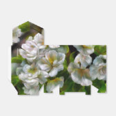 リンゴの花 フェイバーボックス (折り畳みなし)